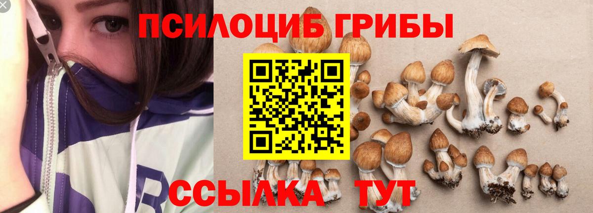 Псилоцибиновые грибы Magic Shrooms  Вход с VPN  Галлюциногенные грибы прущие грибы  Новочеркасск 