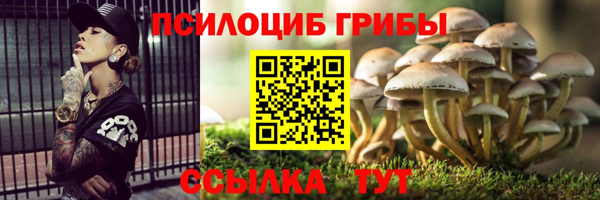 Псилоцибиновые грибы Magic Shrooms Новочеркасск